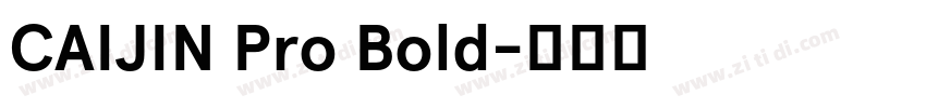 CAIJIN Pro Bold字体转换